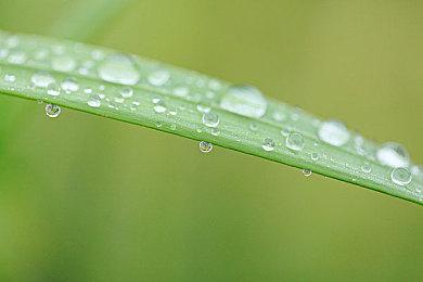 《地下城与勇士：对决》Steam页面上线 支持中文字幕配音